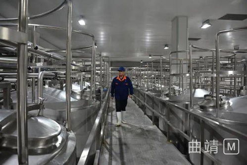 陸良2.8億投資項目順利進入試生產階段，區域經濟迎來發展新動能