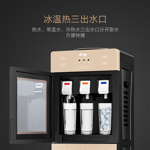 立式制冷制熱飲水機 現(xiàn)代家庭與辦公室的節(jié)能茶吧新選擇